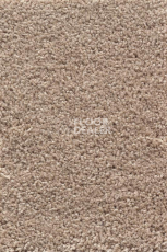 Ковролин AW Devotion 34 фото 1 | FLOORDEALER